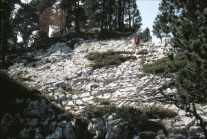 TectonicKarren