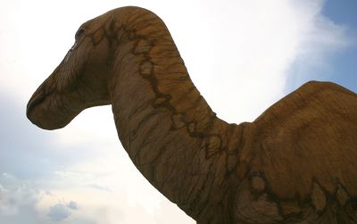 Mokele-Mbembe: The Living Dinosaurs People Thought Lived In The