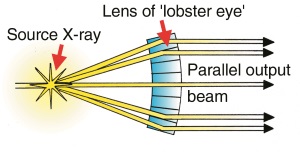 LobsterEye