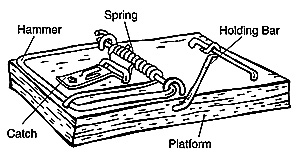 mousetrap design