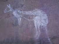 Kangaroo Cave Painting