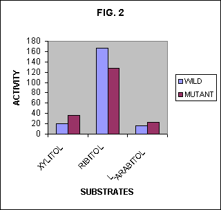 Comparison of ribitol, xylitol and arabitol activities of wild and mutant ribitol dehydrogenase