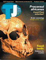 Journal of Creation Volume 17 Issue 2 Cover Journal of Creation Volume 17 Issue 2 Cover