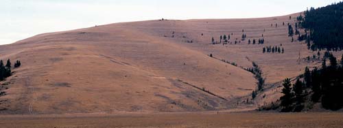 Missoula shorelines