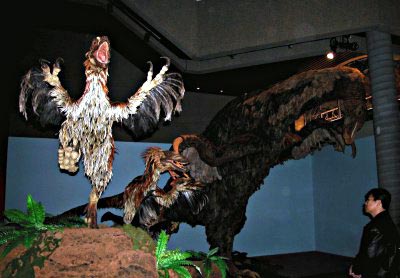 Feathered models of deinonychus, with a therizinosaurus in the background