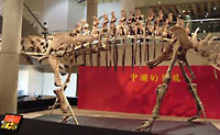 Sauropod body