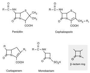 structure of β-lactam