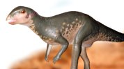 Dinosaur