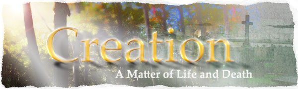 Creation - A Matter of Life and Death