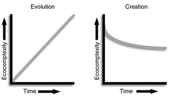 Two views of the origin of ecology