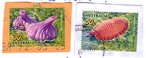 Ediacara stamps