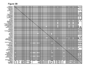 Figure 3b