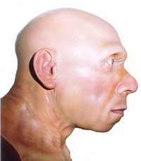 Neandertal bust