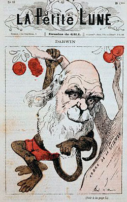 Darwin as a monkey