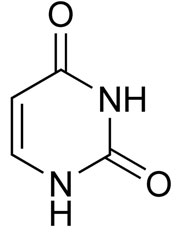 Uracil