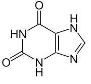 Xanthine