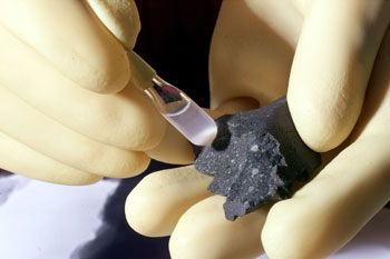 Murchison meteorite