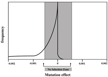 Mutation effect