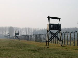 Auschwitz