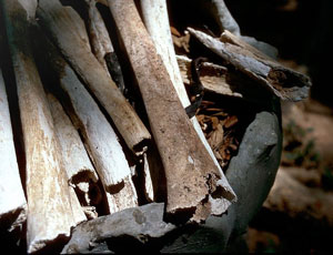 Killing field bones