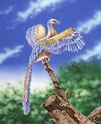 Archaeopteryx