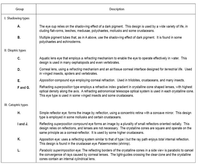 Land and Nilsson’s widely used classification system of eye designs.