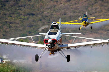 An aeroplane crop-dusting