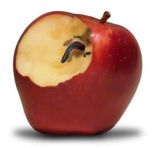 A worm in an apple