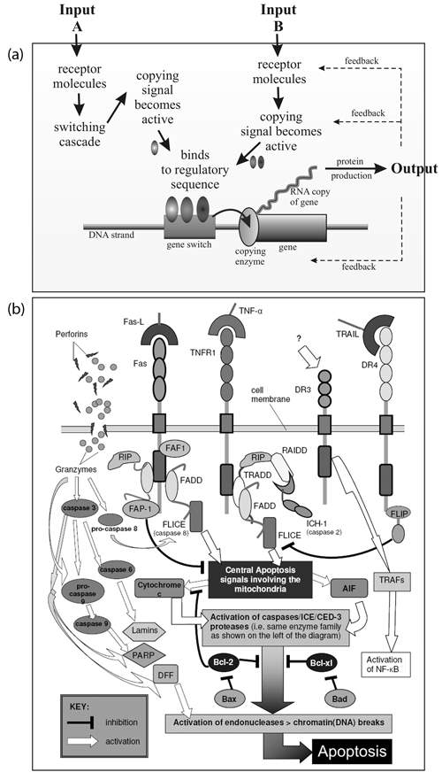 Gene switches are extremely complex devices,