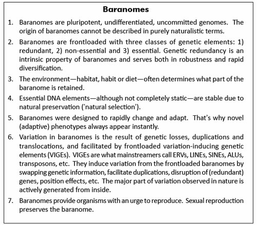 Baranomes