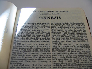 Genesis