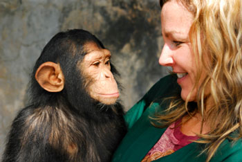 human and chimpanzee 