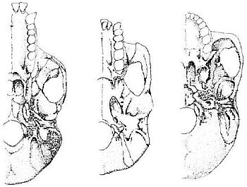 7551-fig2