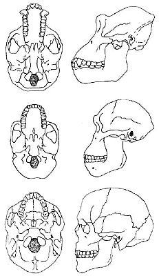 7551-fig3