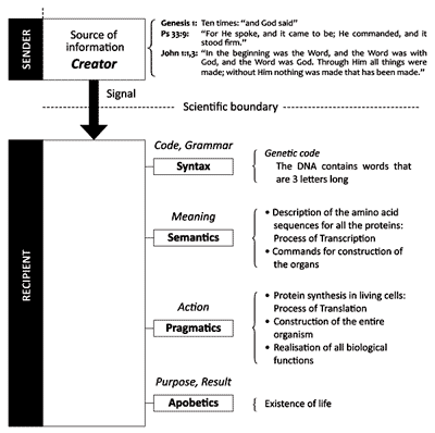 Figure 2. The origin of life. If one considers living things as unknown systems that can be analysed with the help of natural laws, then one finds all five levels of the definition of information: statistics (here left off for simplicity), syntax, semantics, pragmatics and apobetics. In accordance with the natural laws of information, the origin of any information requires a sender equipped with intelligence and will. The fact that the sender in this case is not observable is not in contradiction to these laws. In a huge library with thousands of volumes, the authors are also not visible; but no one would maintain that there was no author for all this information. If one penetrates beyond the boundaries set by the limits of natural science by consulting the Bible, the Sender reveals Himself as the Almighty Creator.