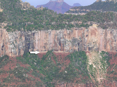 Closeup of the contact between the Coconino Sandstone and the subjacent Hermit Shale below (arrow) looking southwest from near the North Rim Lodge. Ten million years is missing at this widespread, dead flat contact.