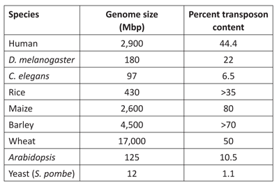 Table 2. Genome sizes and content of repetitive elements in some well-known organisms.