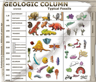 Typical geological column with its alleged ‘ages’.