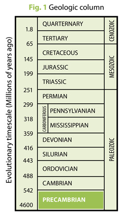 Geologic column