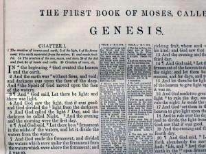 Genesis