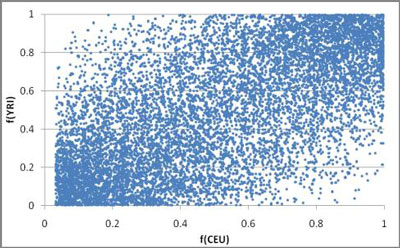 Allele frequencies of 10,000 randomly selected A/G variants, YRI vs. CEU.