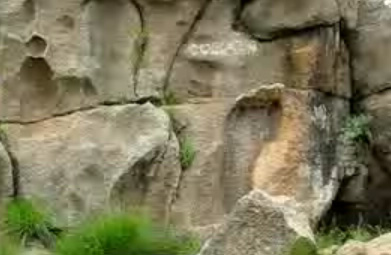 Rock face on which the ‘giant footprint’ is situated. Notice the many cavernous weathering structures, tafoni, on the rock face. Width of image is approx. 4 m (13 ft).