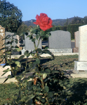 Grave yard