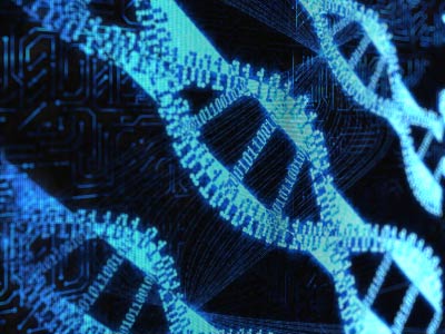 Is the concept of ‘information’ a metaphor too simplistic to describe DNA?