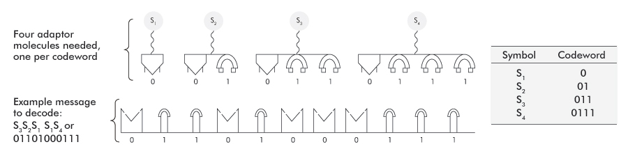 Deciphering a message based on an example non-instantaneously decodable code.