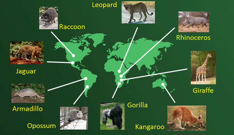 The Bible provides a better explanation for the observed patterns of biogeography than evolution.