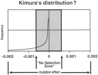 Kimura mutations diagram