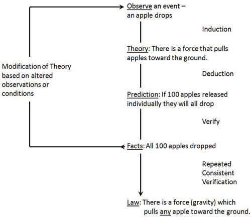 flow diagram