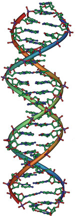 9498-dna