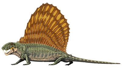 Dimetrodon